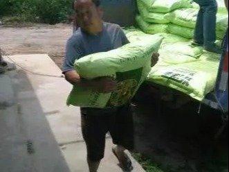 專業人工搬運服務 安全高效，全面保障